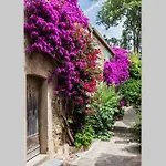 Coquet 2 Pieces Coeur Vieil Antibes