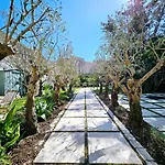 Le Petit Four Jardin - Dans Le Vieil Antibes