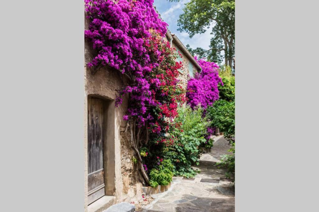 Apartment Coquet 2 Pieces Coeur Vieil