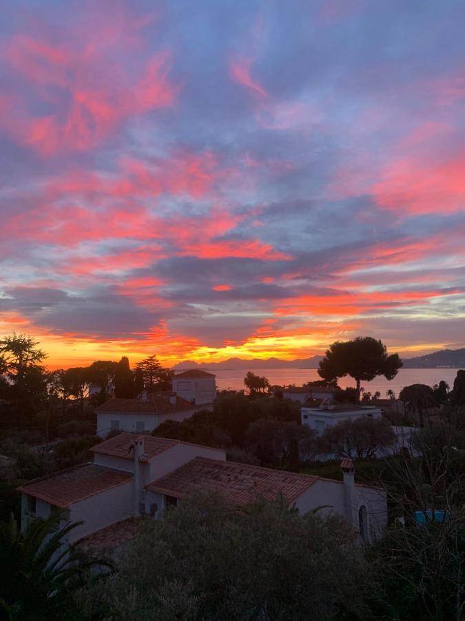 Magnifique 2 Pieces Vue * Antibes