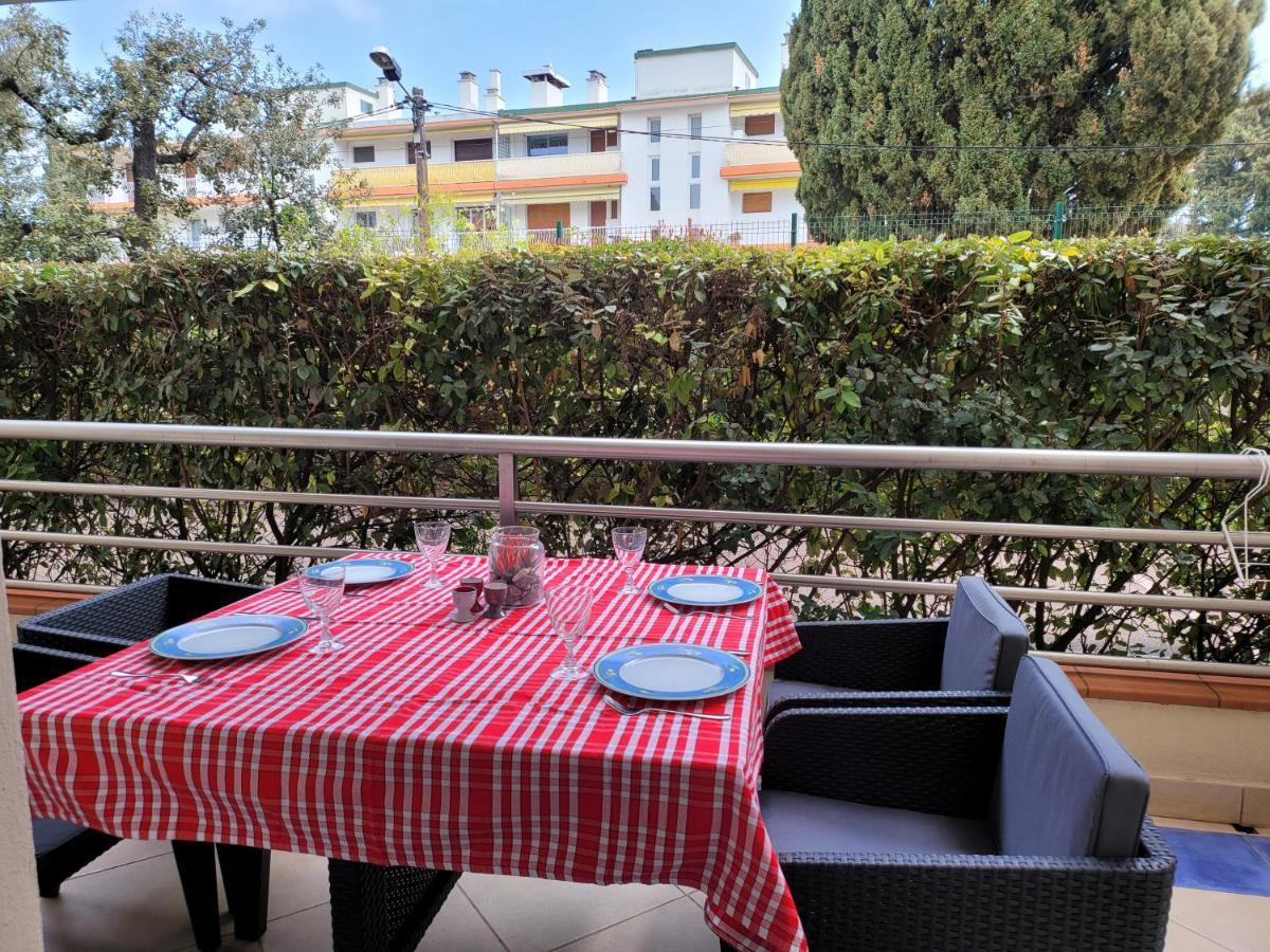L'emeraude T2 Terrasse Jardinet *