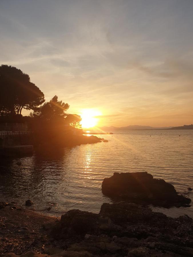 Studio/quartier Residentiel/piscine/plages A 5min A Pied Apartment Antibes