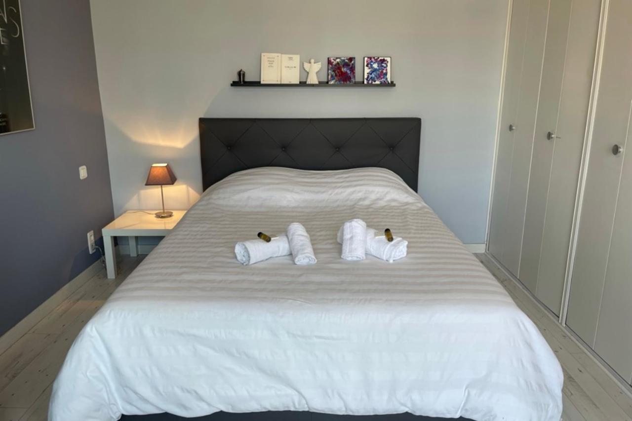 Design And Spacious One Bedroom On Place De Gaulle Apartment