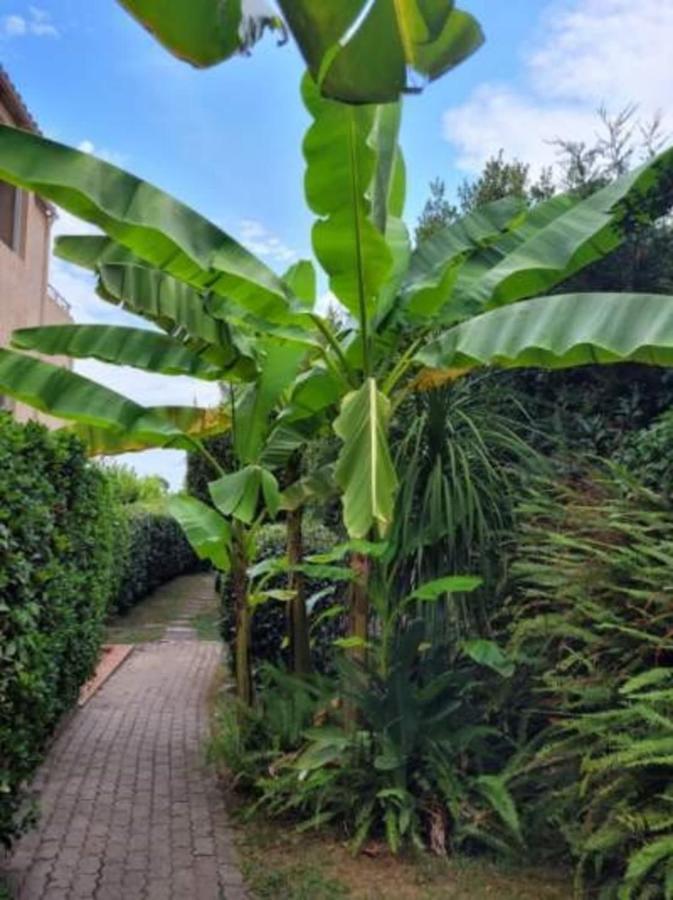 30 M With Terrace And Pool Apartment