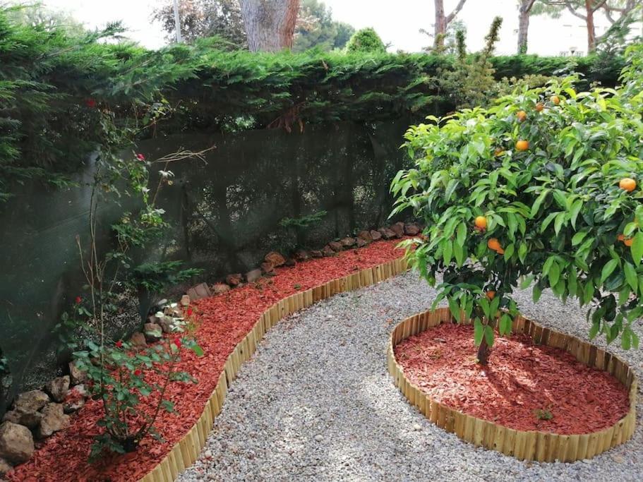Beauvallon - Magnifique T2 Avec Jardin, Proche Centre, Apartment Antibes
