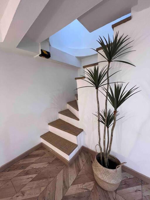 Le Cosy Garden: 4 Prs, Terrasse, Piscine Apartment Antibes