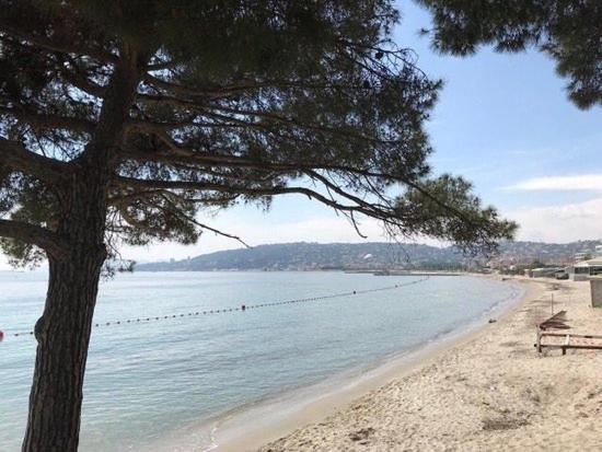 Juan Les Pins, T2 Cosy Et Confortable, Avec Parking En Sous-sol, Proche Plages Et Commerces Apartment