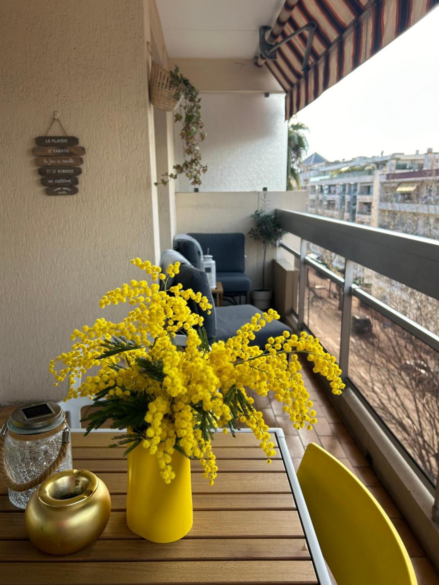 Juan-les-pins Cozy One Bedroom Near The Beaches And The Restaurants Apartment *