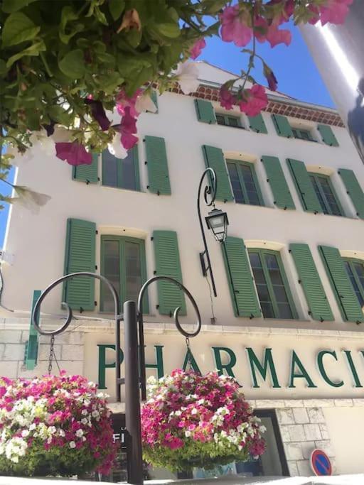 Le Provencal - Center Old 1br Flat With Ac, Wifi Apartamento