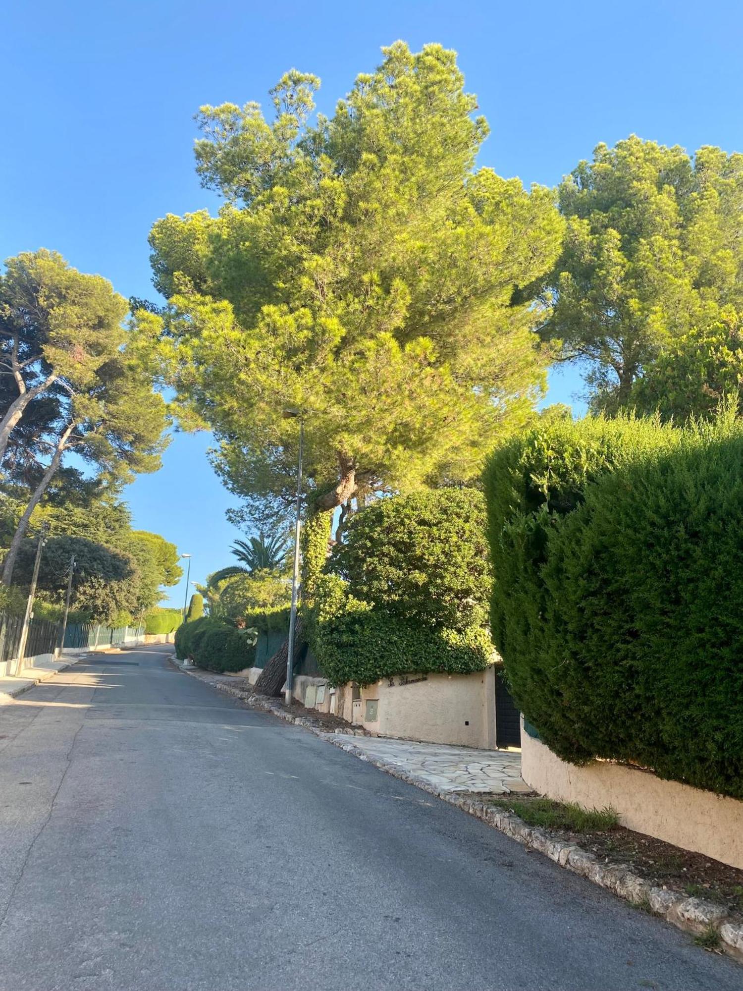 Beautiful Family Villa - 160M2 - 6 People - Pool - Sauna - 900M Beach Pousada