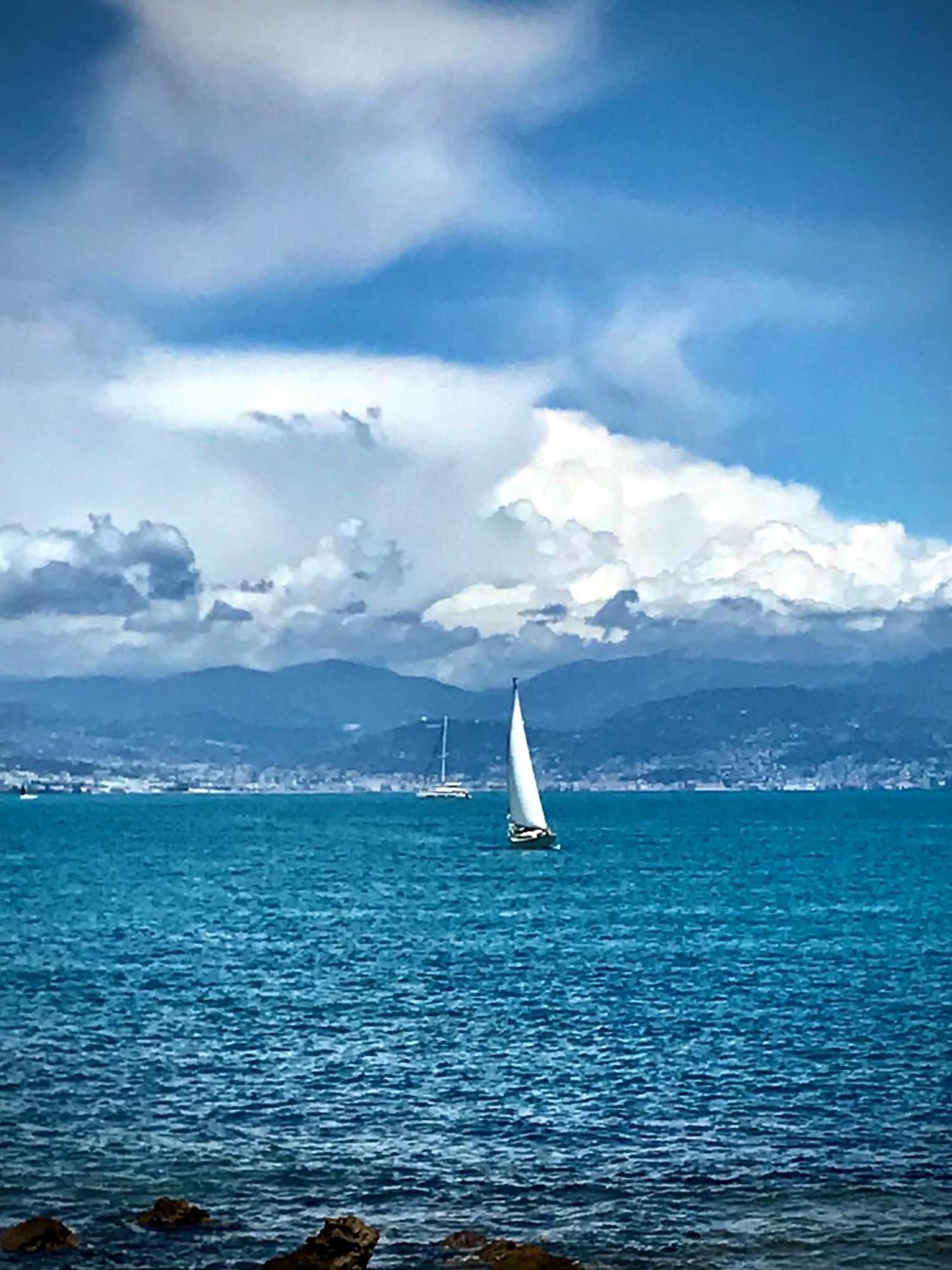 Apartment Juan-les-pins Cozy One Bedroom Near The Beaches And The Restaurants Antibes