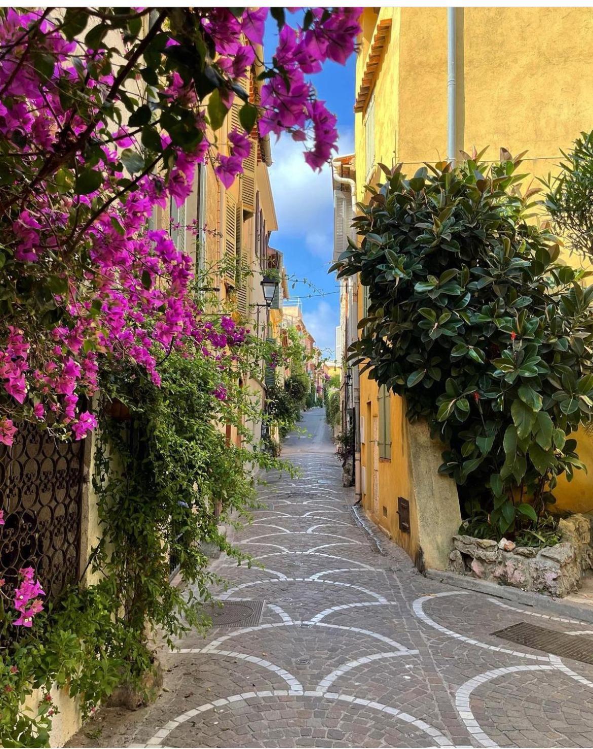 Seaside Serenity - - Beachfront - Antibes