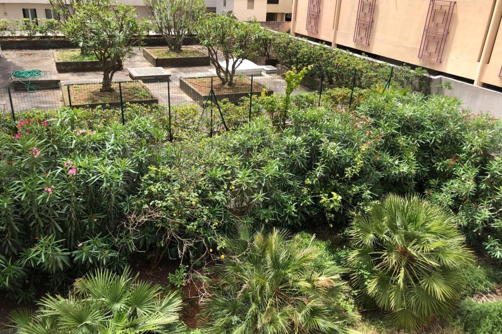 Centre Beau T3 6 P Terrasse Wifi Pkg Clim * Antibes