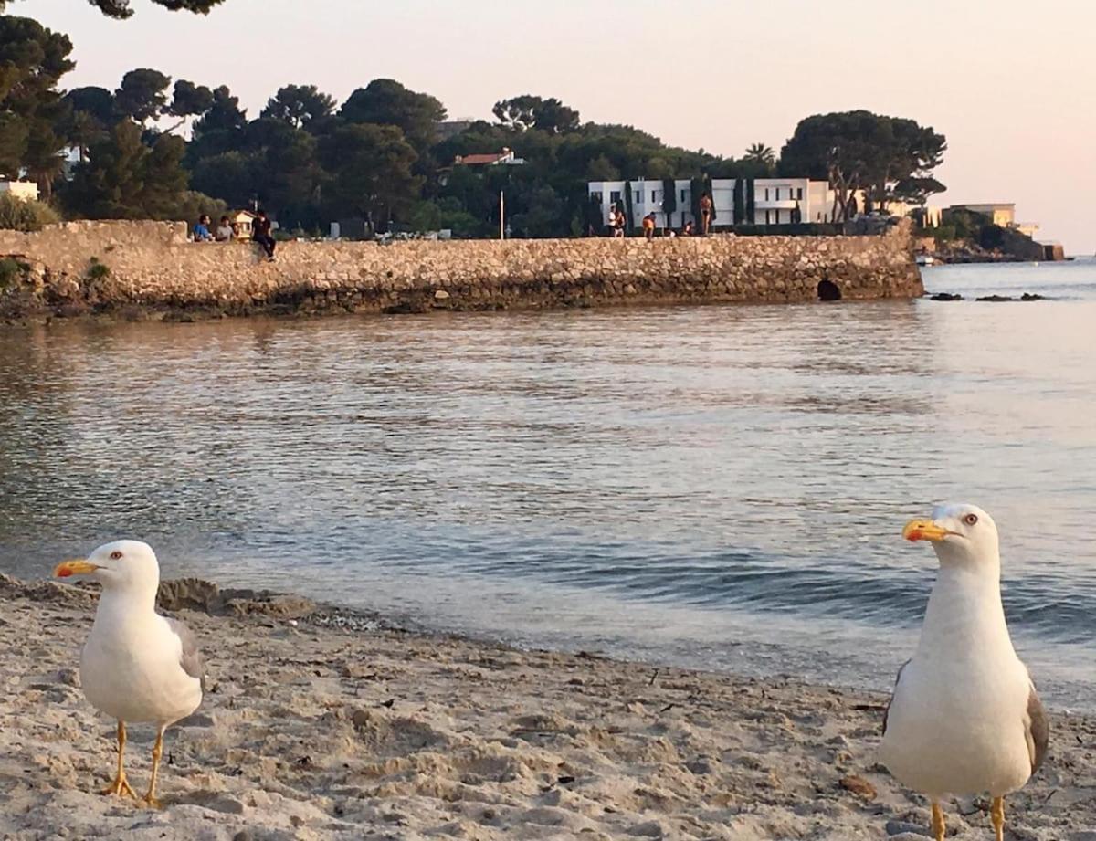 First Floor Fully Renovated Antibes