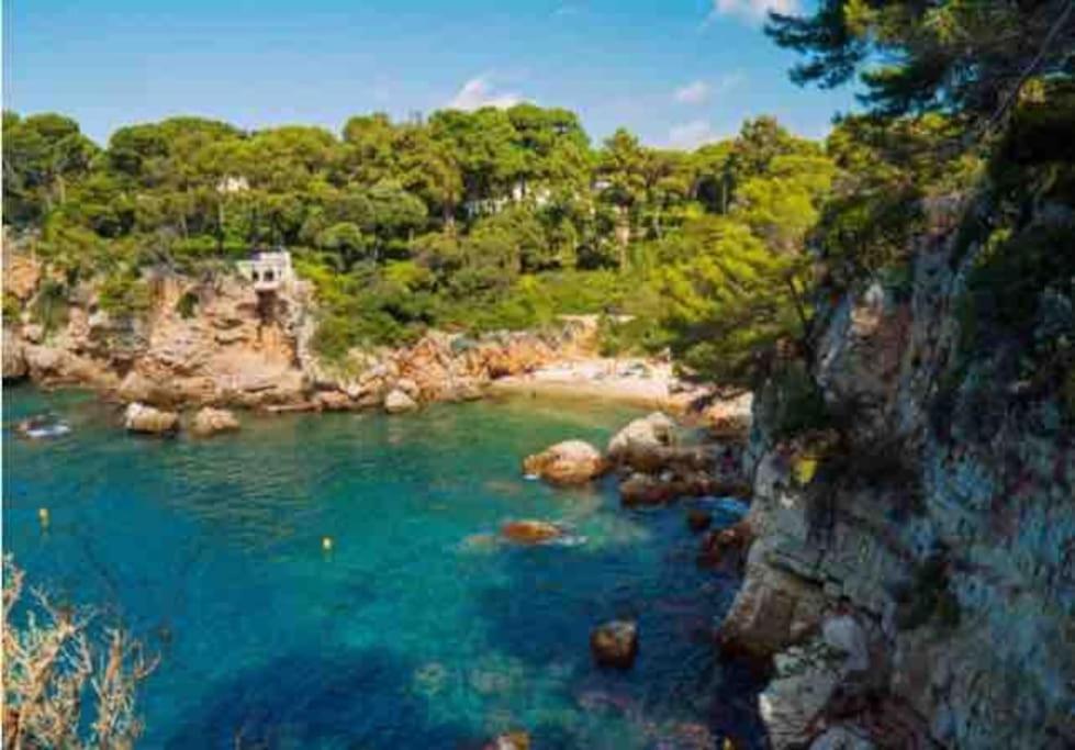 Beautiful 5 Bedroom With Direct Sea View Antibes
