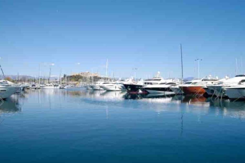 Villa Beautiful 5 Bedroom With Direct Sea View *