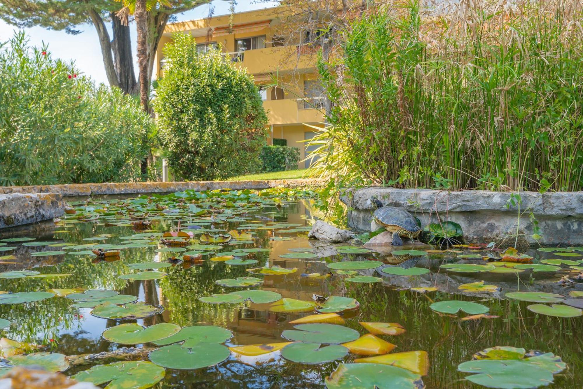 Apartment Les 15 Pins & La -your Getaway Near Sea & Antibes