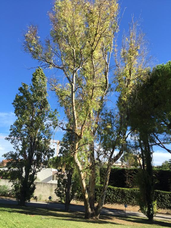 Studio Crista Antibes