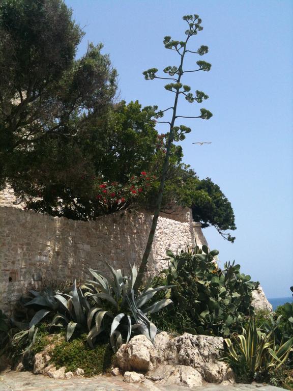 Apartment Studio Crista Antibes