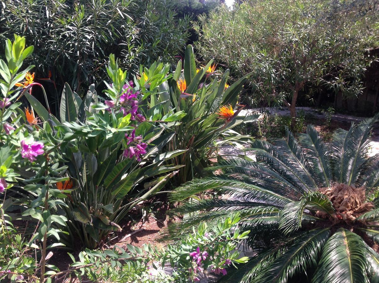 Beautiful Family Villa - 160M2 - 6 People - Pool - Sauna - 900M Beach