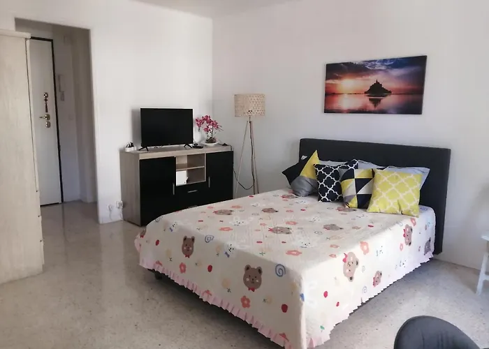 Antibes Centre Studio 27 M2 Renove
