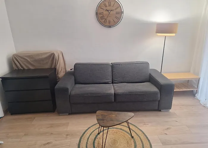 Superbe Studio Plein Pied Grand Jardin A 500M De La Plage