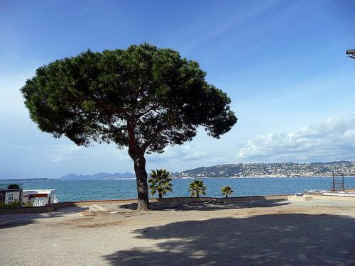 De Charme Coeur De Juan & Plages