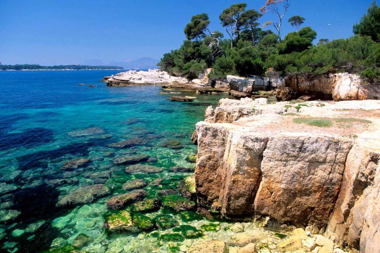 3 Pieces, Refait A Neuf, Standing, Piscine, A Pieds Antibes