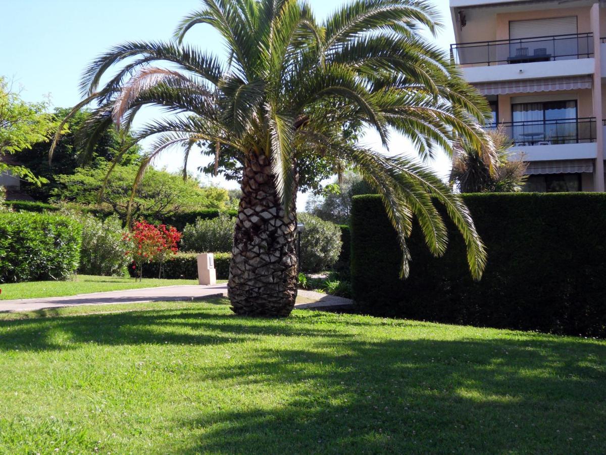 Apartment 3 Pieces, Refait A Neuf, Standing, Piscine, A Pieds