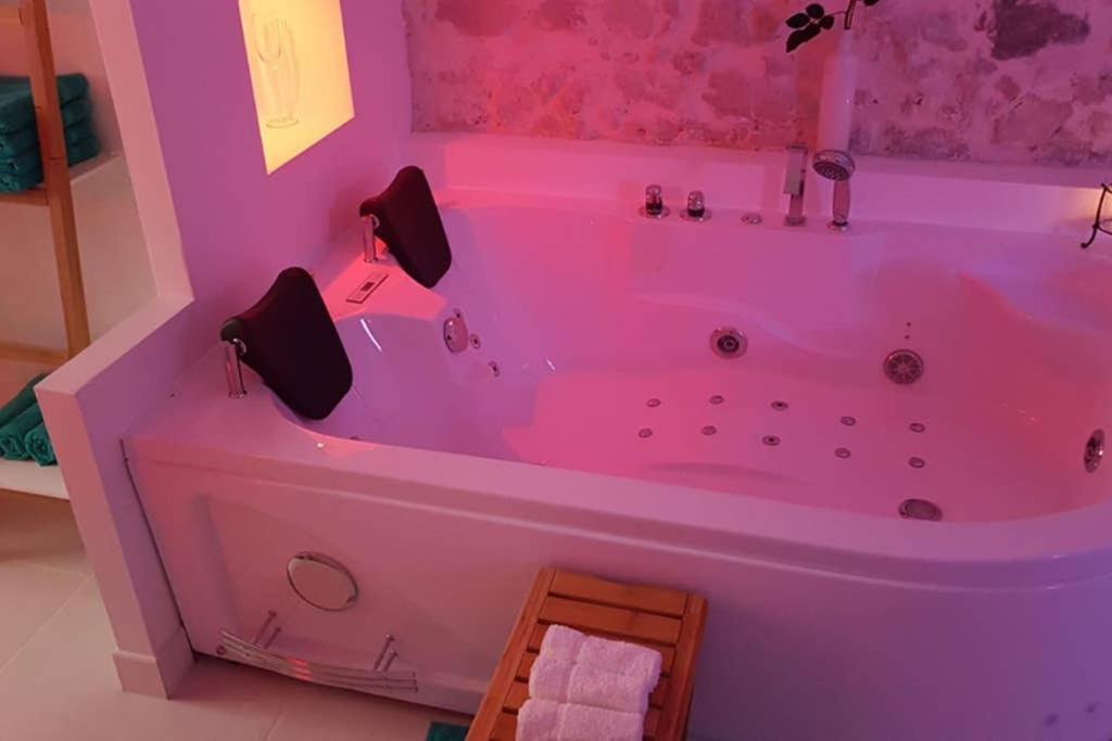 Maison Safranier Balneo Vieil Holiday home