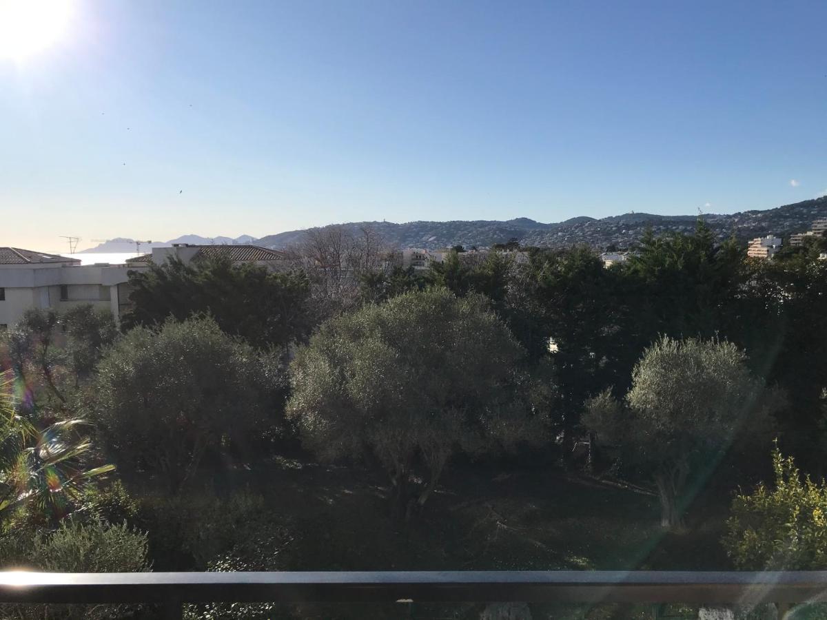 Apartment 3 Pieces, Refait A Neuf, Standing, Piscine, A Pieds Antibes