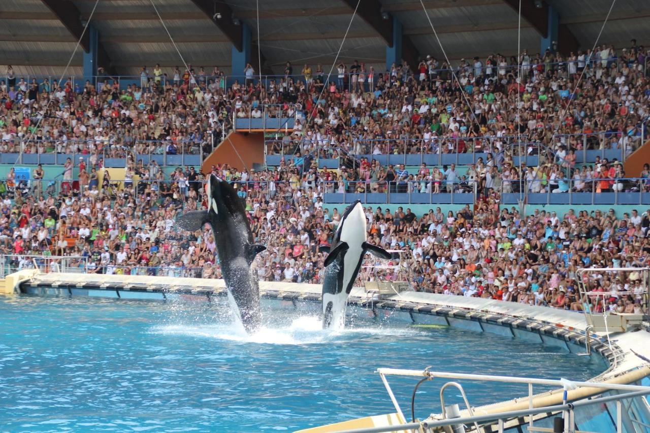 Riviera Azur à 300m De La Et Du Marineland