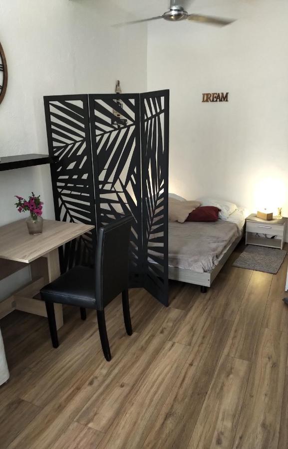 Appartement Magnifique Studio Coeur Vieil