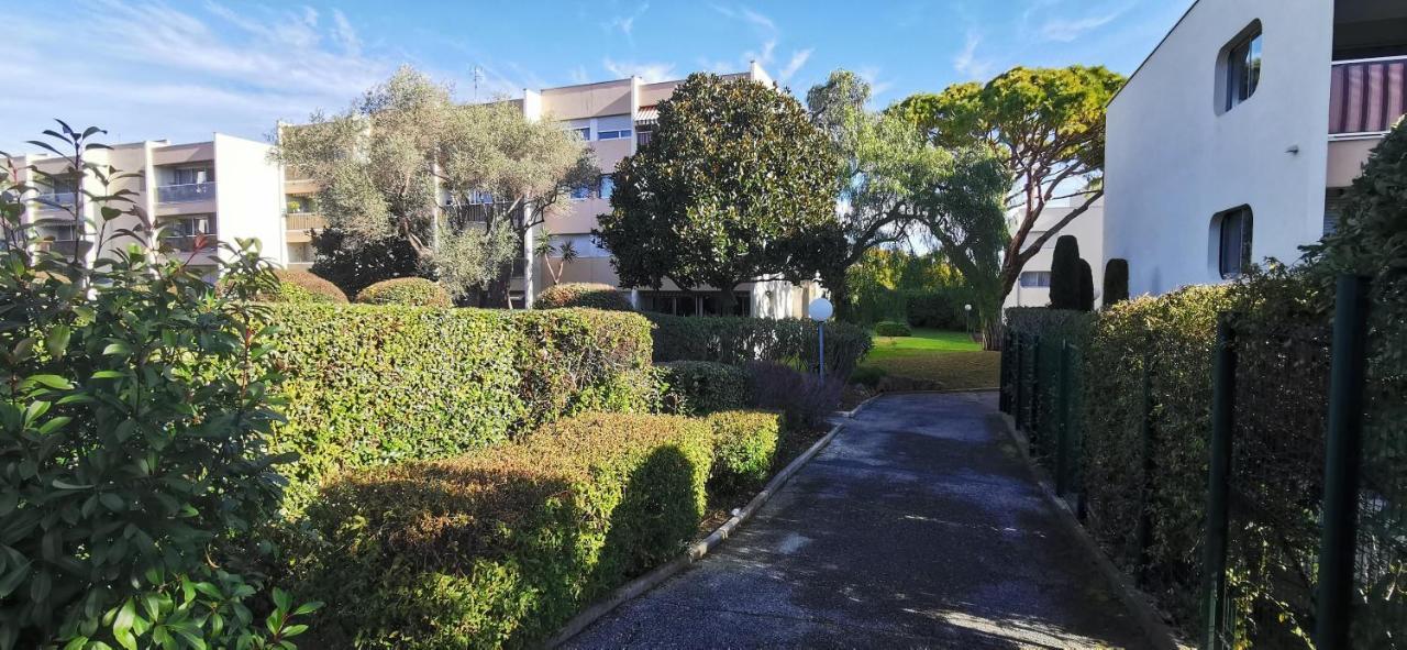 Magnifique Dans Résidence Avec Piscine * Antibes