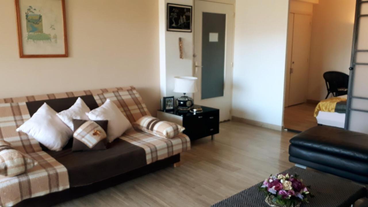 Zen Garden Beach, Marinland-parc, Swimming Pool, Fibre Optique Antibes