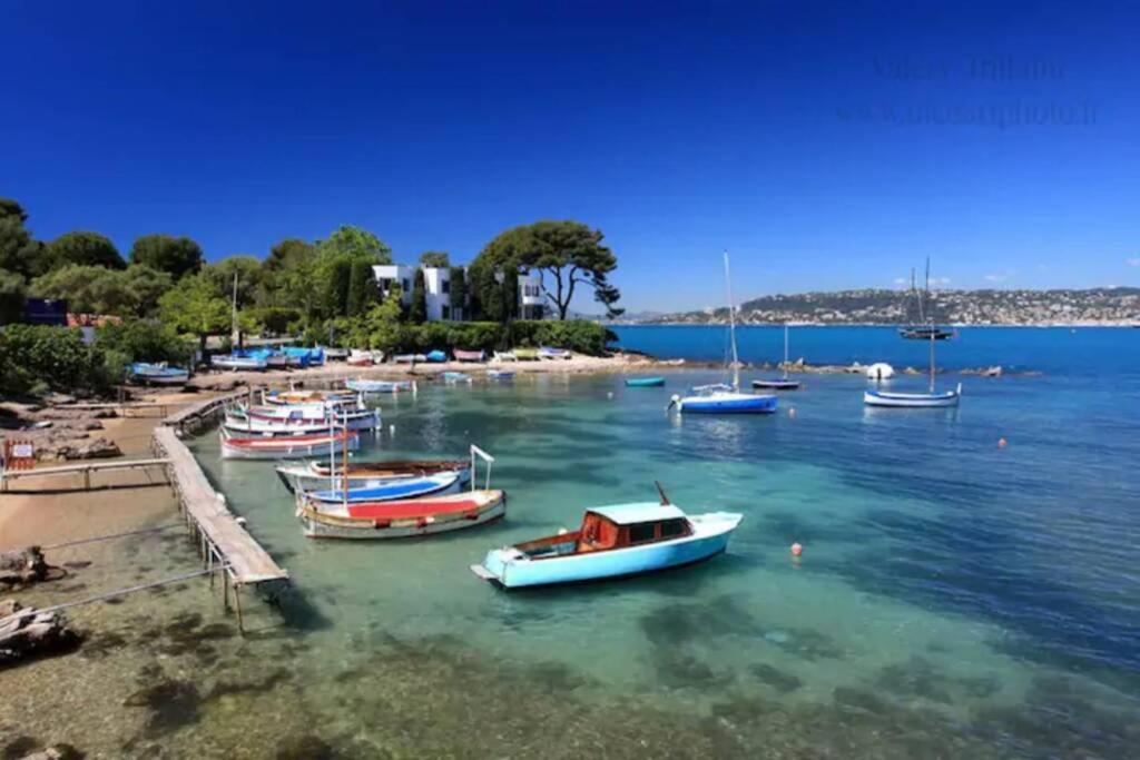 Appartement Coeur De Juan, Calme, 300m Plages - Easy Check-in Antibes