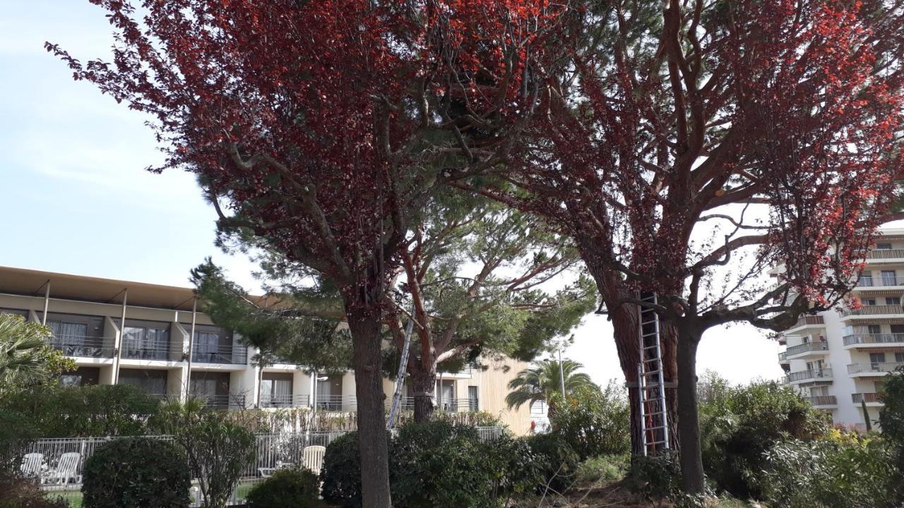 Apartamento Zen Garden Beach, Marinland-parc, Swimming Pool, Fibre Optique Antibes