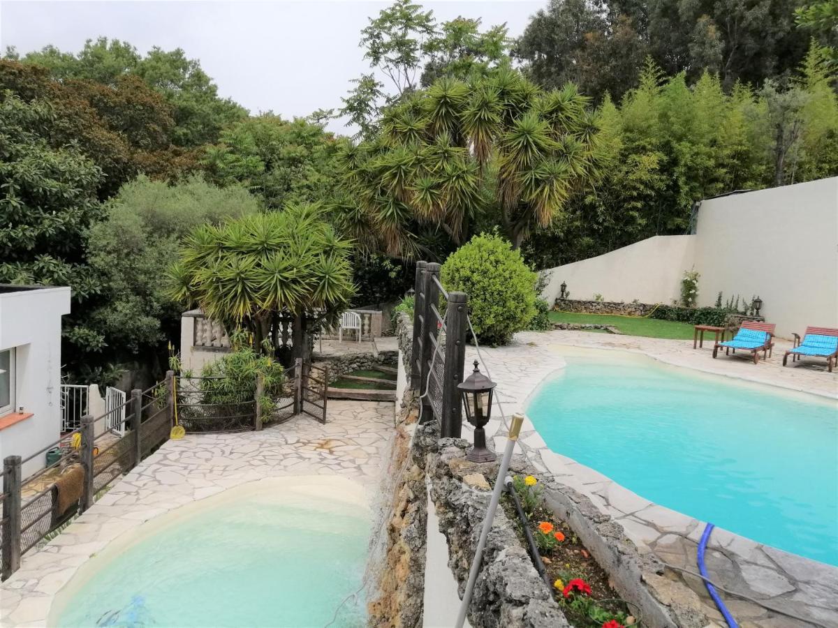 Apartment Maison Mitoyenne Avec Piscine *