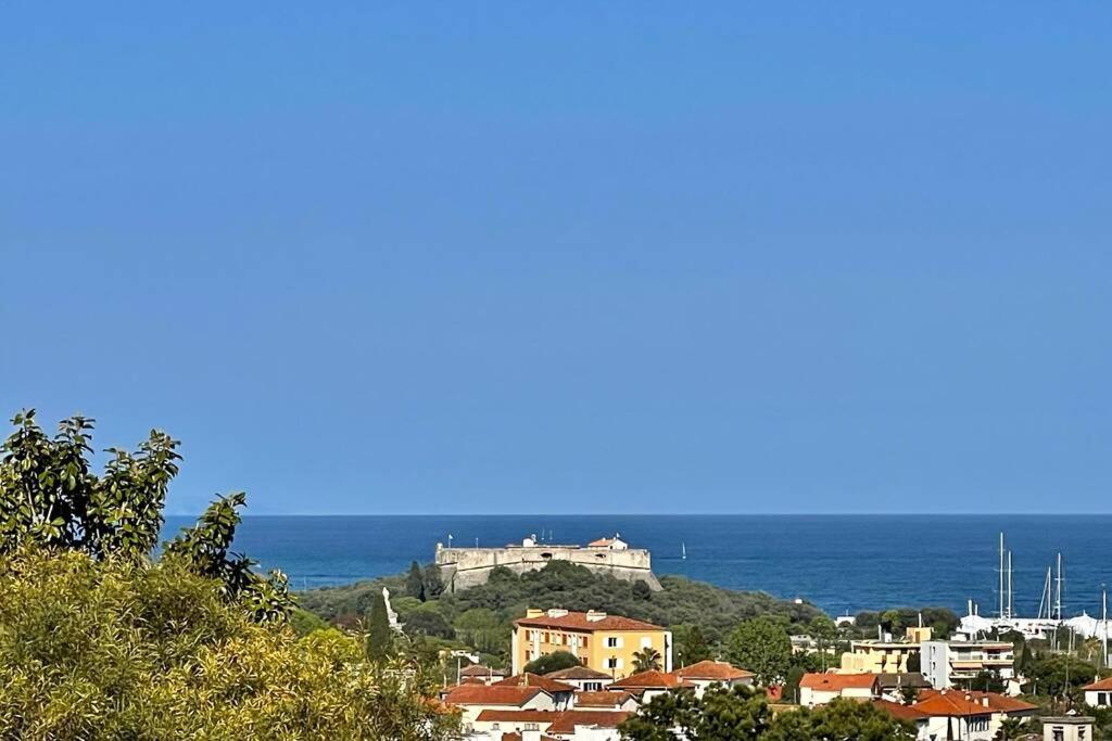 Rose D'antibes *