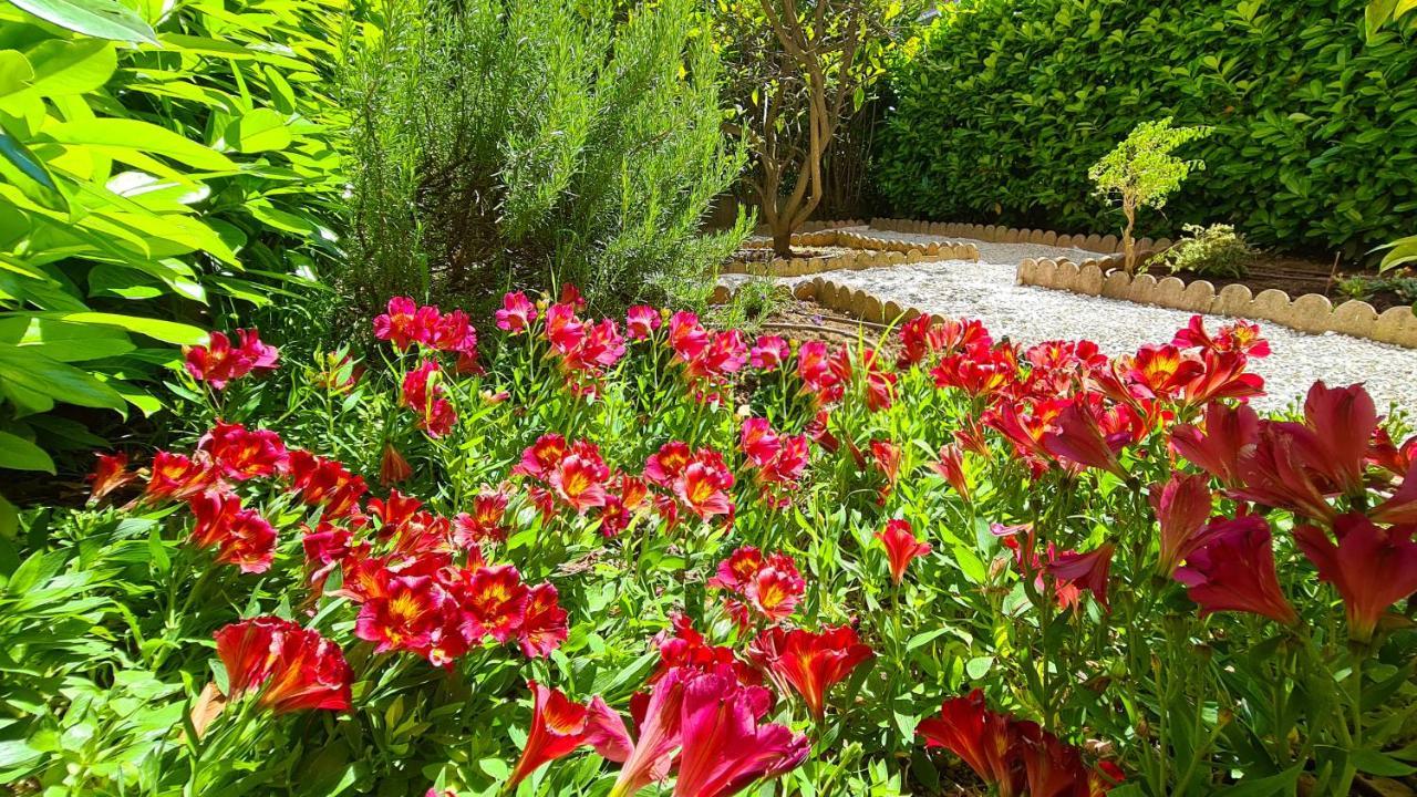 Apartamento Casalionelantibes 70 Sqm With Garden And Parking Antibes