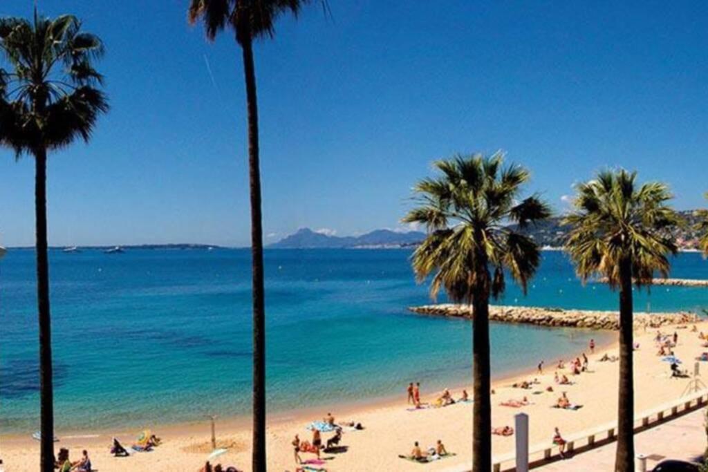 Grand Studio Climatise Proche Plages Juan Les Pins Apartment