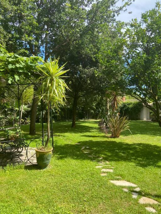 Cap D'antibes 50m From The 3 Bedrooms/pool * Antibes