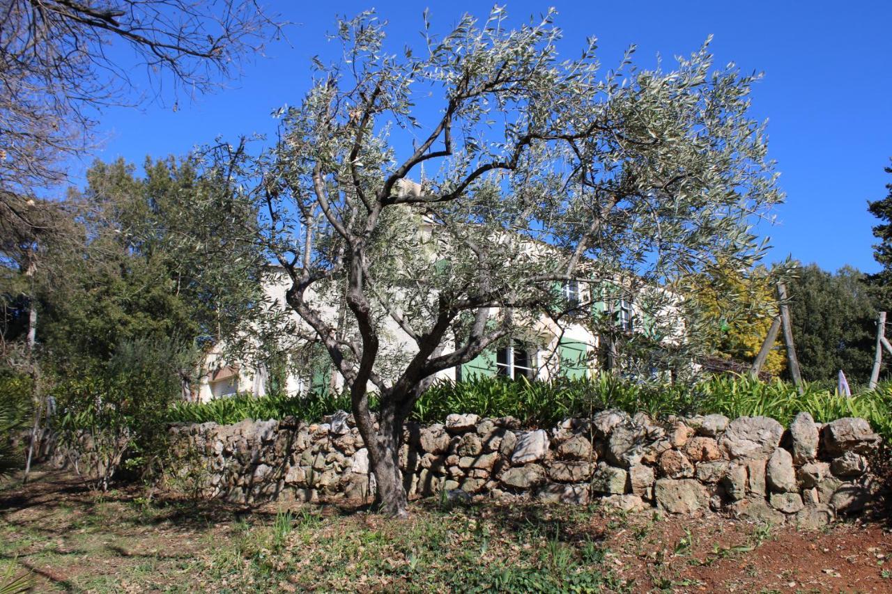 Ecole Buissonnière Appartement