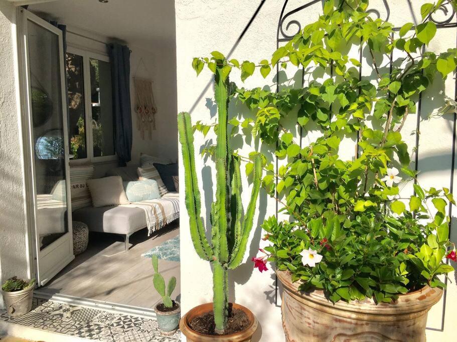 Cap D'antibes 50m From The 3 Bedrooms/pool Villa