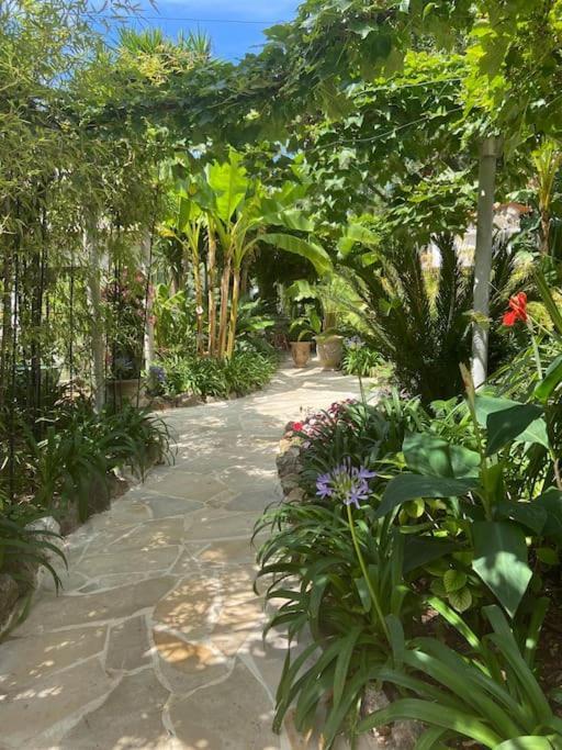 Villa Cap D'antibes 50m From The 3 Bedrooms/pool *