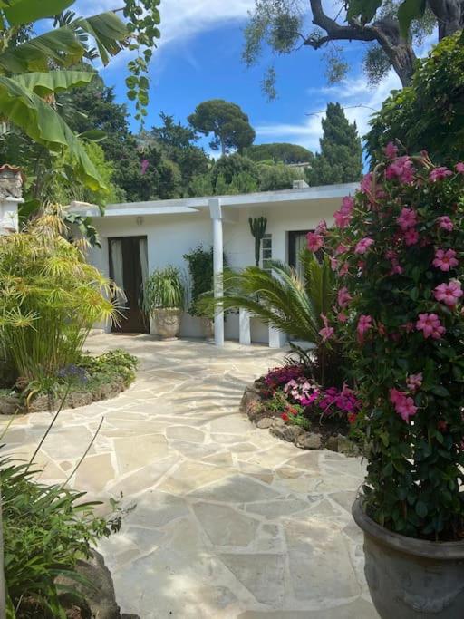 Villa Cap D'antibes 50m From The 3 Bedrooms/pool *