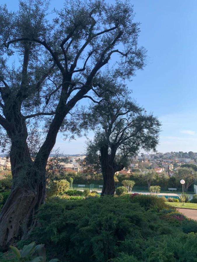 With A Panoramic View At The Last Floor Of The With A Pool Apartamento