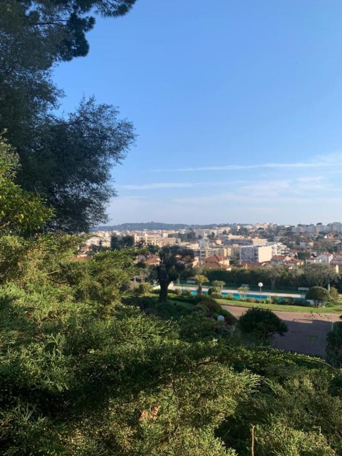 With A Panoramic View At The Last Floor Of The With A Pool