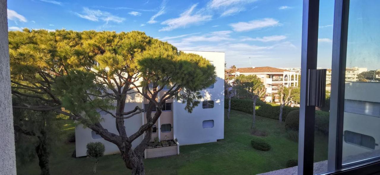 Appartement Magnifique Dans Résidence Avec Piscine Antibes