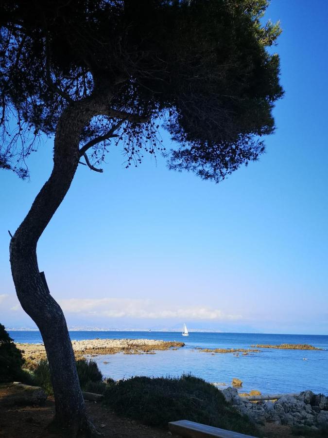 Apartment 5 Min To Sea Francaise Old Town *